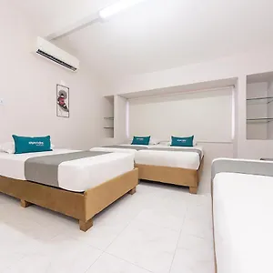 https://isla-de-manga-hostel.cartagena-hotels.org